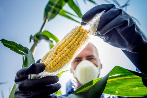 GMO Update: Victory!