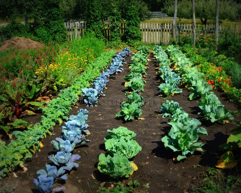 How To Safely CAN Your Own Garden Vegetables