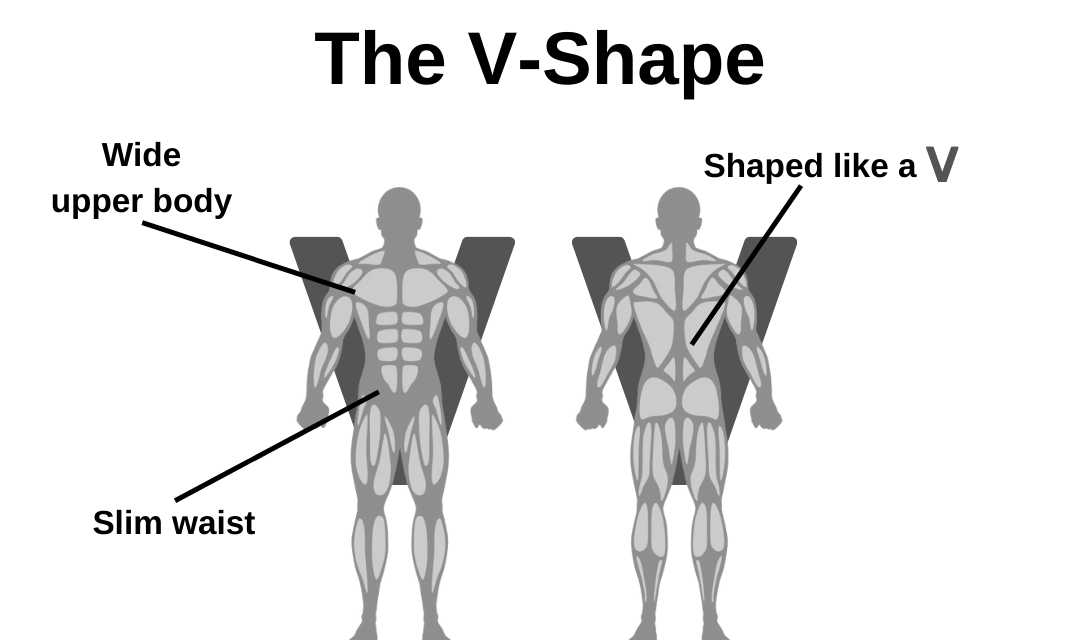 V-Shape – The Perfect Body Shape