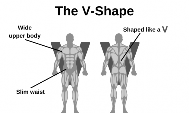 V-Shape – The Perfect Body Shape