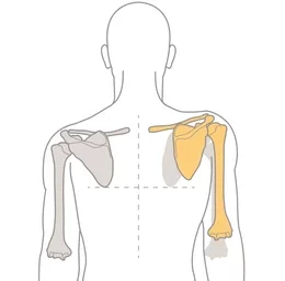 How To Fix Muscle Imbalances